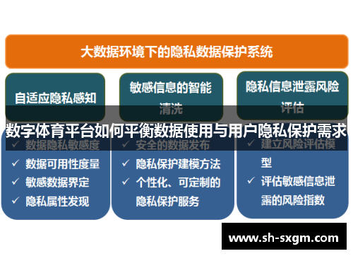 数字体育平台如何平衡数据使用与用户隐私保护需求